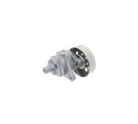 SKF VKM 61019 Tensioner pulley
