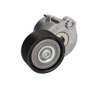 SKF VKMCV 51007 Tensioner pulley