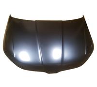 Skoda Kodiaq 17-21 Bonnet