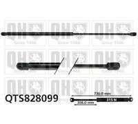 Quinton Hazell QTS828099 Gas Spring
