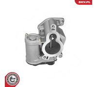 ESEN SKV 14SKV317 EGR valve