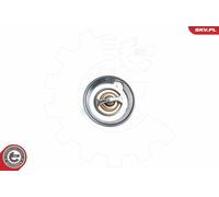 Fits SKV GERMANY 20SKV043 THERMOSTAT ⭐UK Stock⭐