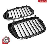 Fits SKV GERMANY 66SKV222 GRILL, KIDNEY GRILL 66SKV222 SET L+P, SINGL ⭐UK Stock⭐