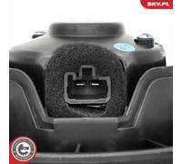 ESEN SKV 68SKV256 Blower motor