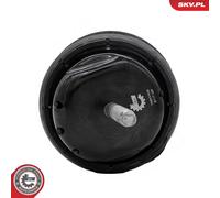 ESEN SKV 75SKV438 Engine mount