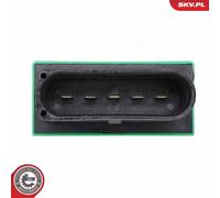 ESEN SKV 96SKV398 Control Unit, fuel pump