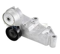 SNR GA352.43 Tensioner pulley