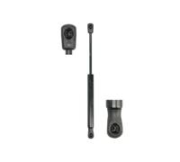 Bonnet Gas Strut fits LAND ROVER FREELANDER L359 2.0 11 to 14 Spring Lift Front