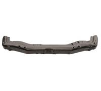 PRASCO SZ0363201 Front Cowling