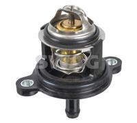 SWAG 33 10 2009 Thermostat