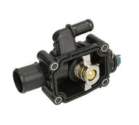 THERMOTEC D2C006TT Thermostat