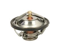 THERMOTEC D2CA009TT Thermostat