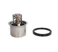 THERMOTEC D2RV004TT Thermostat