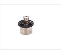 THERMOTEC D2VO002TT Thermostat