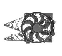 Radiator fan D8F019TT THERMOTEC for FIAT DOBLO Cargo DOBLO Combi