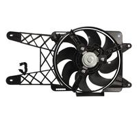 THERMOTEC D8F030TT Fan, radiator