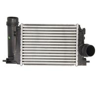 THERMOTEC DA1006TT Intercooler, charger for NISSAN,RENAULT
