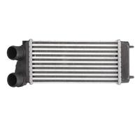 THERMOTEC DAC004TT Intercooler