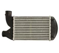 Charge Air Cooler THERMOTEC DAF006TT for FIAT BRAVA (182_) 1.9 1996-2001