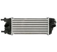Fits THERMOTEC DAF015TT Charge Air Cooler DE stock