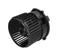 THERMOTEC DDB021TT Blower motor