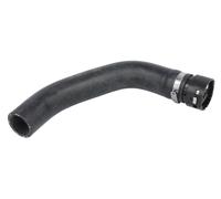 Fits THERMOTEC DWC068TT Radiator Hose DWC068TT The Thermotec product ⭐UK Stock⭐