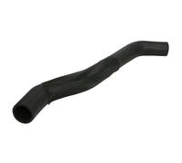 Fits THERMOTEC DWD029TT Radiator Hose DWD029TT The Thermotec product ⭐UK Stock⭐
