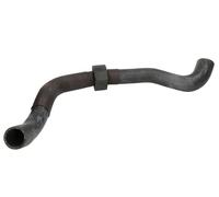 THERMOTEC DWW529TT Radiator hose