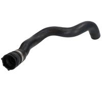 THERMOTEC DWX254TT Radiator hose