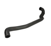 THERMOTEC DWX271TT Radiator hose