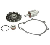 Fits THERMOTEC WP-MN111RK Gasket Set, water pump DE stock