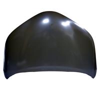 Fits Toyota Chr 19-23 Bonnet