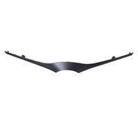 PRASCO TY3292206 Trim / protective strip, radiator grille