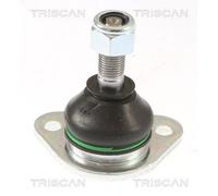 Fits TRISCAN 8500 105020 SWINGARM PIN AIXAM P. 500 0.5 97- LE/PR