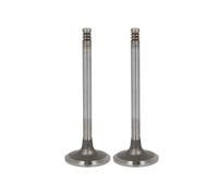 TRW Engine Component 22325 Inlet valve