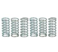 Fits TRW MOTO MEF160-6 Clutch Spring Set DE stock