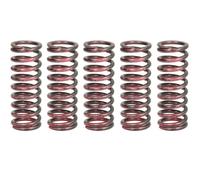 TRW MOTO MEF315-5 Clutch Spring Set OE REPLACEMENT