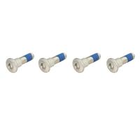 Triumph TIGER 1050 SE ABS 2009-2012 TRW Brake Disc Bolt Set MSS132-4