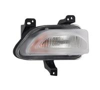 Fits TYC TYC 12-5357-00-9 Indicator lamp front 12-5357-00-9 do JEEP ⭐UK Stock⭐