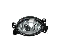 TYC Fog Light 19-0636-01-9 Halogen H11 Left Fits Mercedes-Benz C-Class SL CLK CLS W169 W204