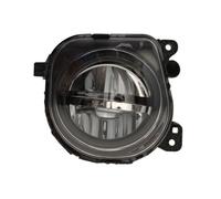 ✅Fits TYC TYC 19-12569-00-9 Fog lamp Right 19-12569-00-9 do BMW 5 ( ⭐UK Seller⭐