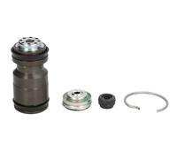 Fits VALEO VAL2500234 Repair Kit, clutch master cylinder DE stock