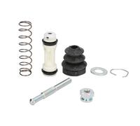 Fits VALEO VAL2501100 Repair Kit, clutch master cylinder VAL2501100 Brake maste