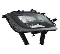 PRASCO OP4164424 Fog Light