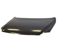 Fits Volkswagen Fox 2005-2012 Bonnet 80144050