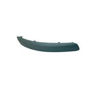 BLIC 5703-05-9533924P Bumper moulding