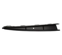 PRASCO VG0251244 Bumper moulding