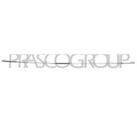 PRASCO VG7702206 Trim / protective strip, radiator grille