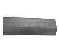 PRASCO VG8101463 Door moulding trim
