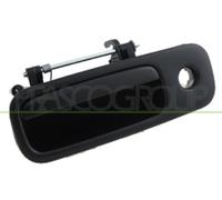 PRASCO VG9178301 Door Handle